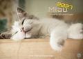 Miau - Unsere Stubentiger 2027 - Der Katzenkalender