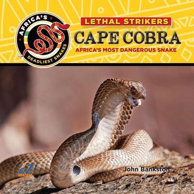 Cape Cobra: Africa’s Most Dangerous Snake