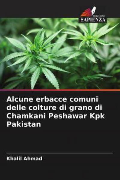 Alcune erbacce comuni delle colture di grano di Chamkani Peshawar Kpk Pakistan