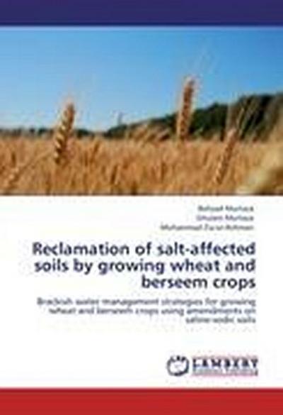 Reclamation of salt-affected soils by growing wheat and berseem crops