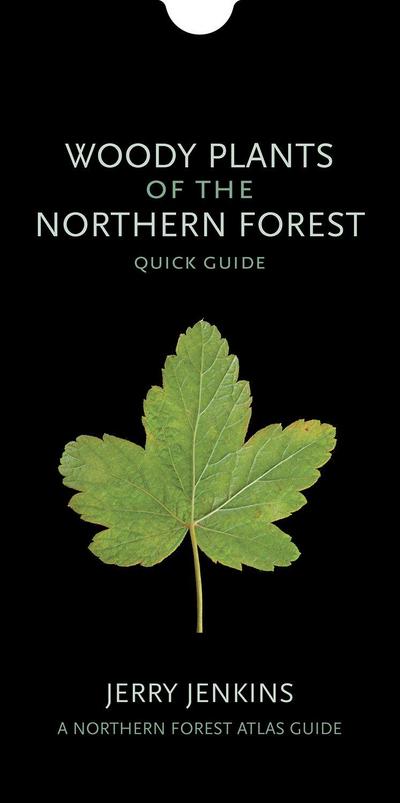Woody Plants of the Northern Forest