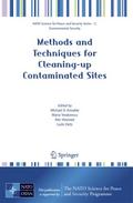 Methods and Techniques for Cleaning-up Contaminate