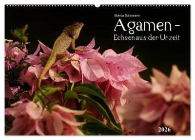 Agamen - Echsen aus der Urzeit (Wandkalender 2026 DIN A2 quer), CALVENDO Monatskalender