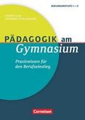Pädagogik am Gymnasium