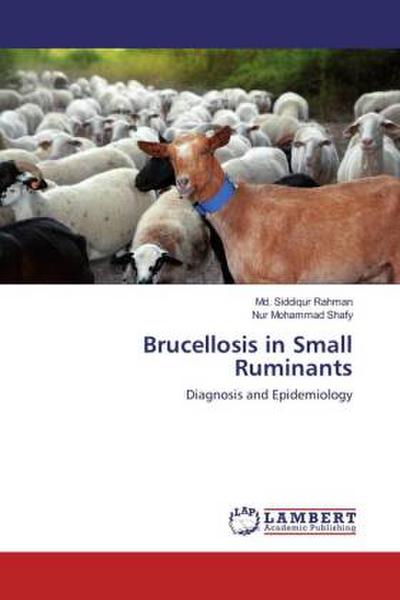 Brucellosis in Small Ruminants