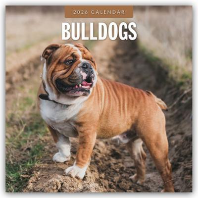 Bulldogs - Bulldoggen 2026 - 16-Monatskalender
