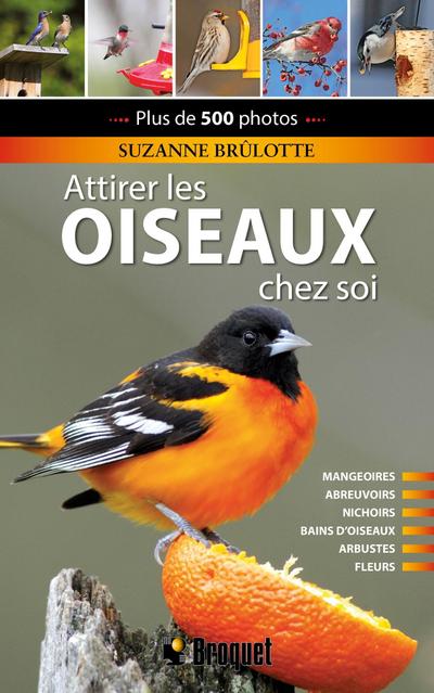 Attirer les oiseaux chez soi