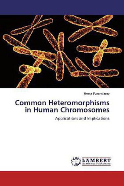 Common Heteromorphisms in Human Chromosomes