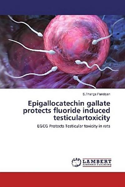 Epigallocatechin gallate protects fluoride induced testiculartoxicity