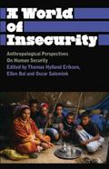 A World of Insecurity