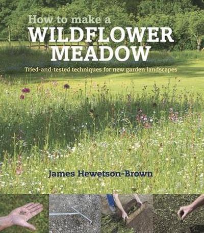 How to Make a Wildflower Meadow