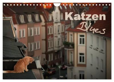 Katzen Blues (Wandkalender 2024 DIN A4 quer), CALVENDO Monatskalender