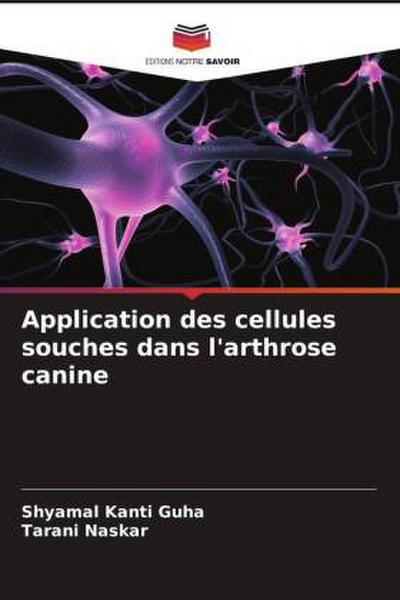 Application des cellules souches dans l’arthrose canine