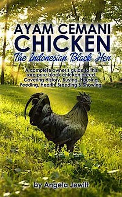 Ayam Cemani Chicken - The Indonesian Black Hen. A complete owner’s guide to this rare pure black chicken breed. Covering History, Buying, Housing, Feeding, Health, Breeding & Showing.