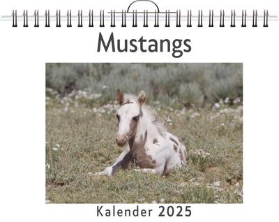 Meier, O: Mustangs