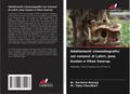 Adattamenti cinematografici nei romanzi di Lahiri, Jane Austen e Vikas Swarup