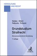 Grundstudium Strafrecht