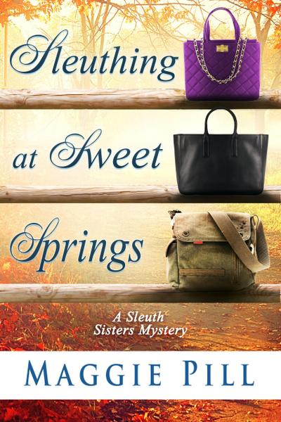 Sleuthing at Sweet Springs (The Sleuth Sisters Mysteries, #4)