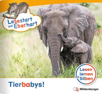 Lesestart mit Eberhart: Tierbabys!