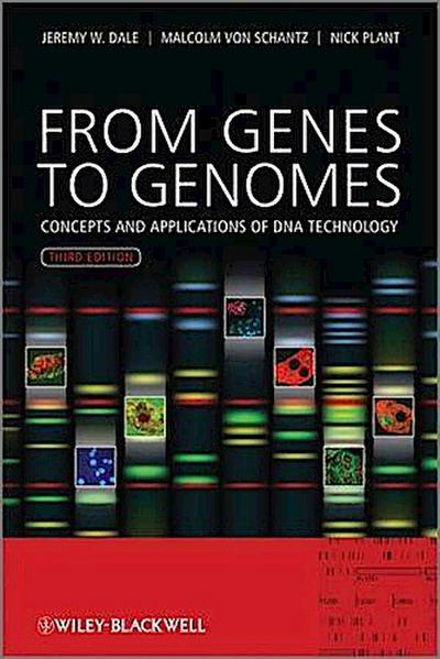 From Genes to Genomes