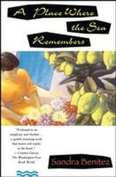 Place Where the Sea Remembers