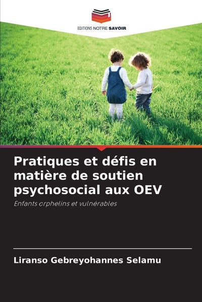 Pratiques et défis en matière de soutien psychosocial aux OEV