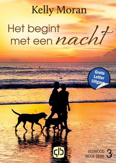 Het begint met een nacht