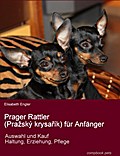 Prager Rattler (Prazský krysarík) für Anfänger