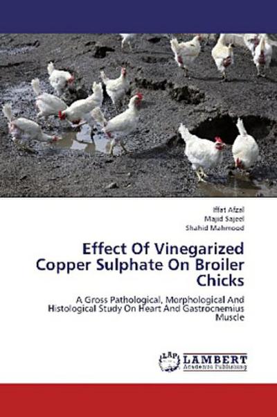 Effect Of Vinegarized Copper Sulphate On Broiler Chicks