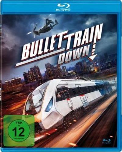 Bullet Train Down