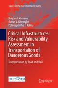 Critical Infrastructures: Risk and Vulnerability A
