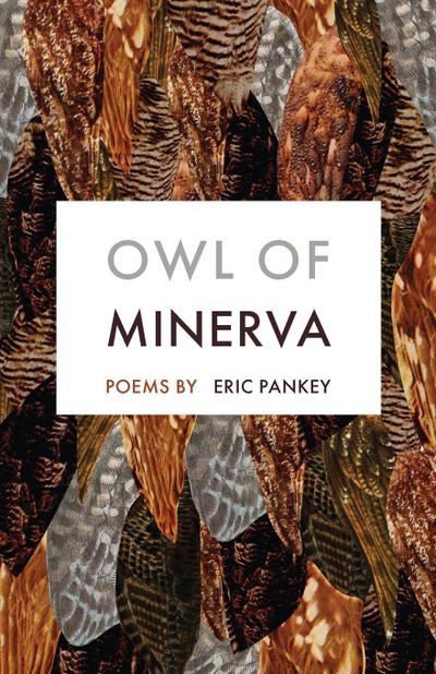 Owl of Minerva