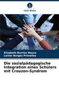 Die sozialpädagogische Integration eines Schülers 
