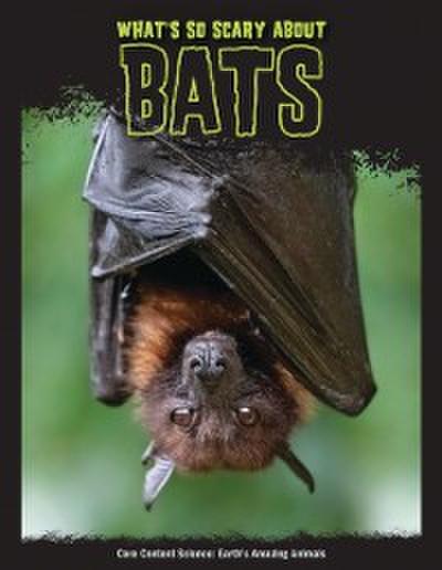 What’s So Scary about Bats?