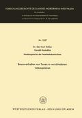 Brennverhalten von Tonen in verschiedenen Atmosphären