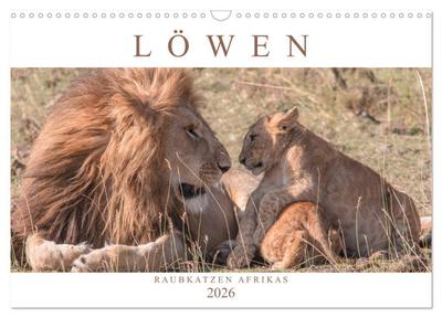 Löwen - Raubkatzen Afrikas (Wandkalender 2026 DIN A3 quer), CALVENDO Monatskalender