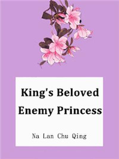 King’s Beloved Enemy Princess