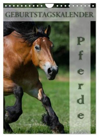 Pferde / Planer (Wandkalender 2026 DIN A4 hoch), CALVENDO Monatskalender