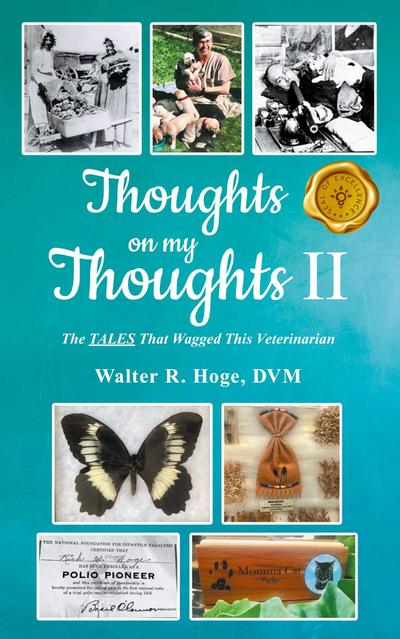 Thoughts on my Thoughts II