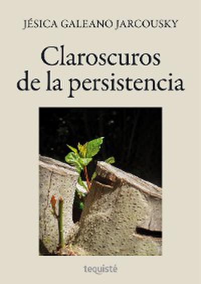 Claroscuros de la persistencia