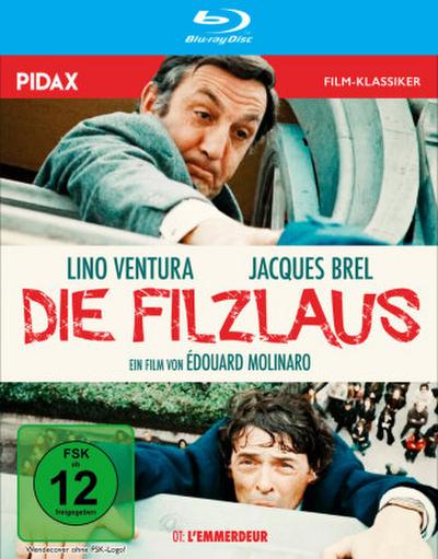 Die Filzlaus