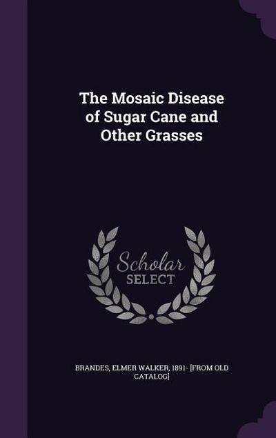 The Mosaic Disease of Sugar Cane and Other Grasses