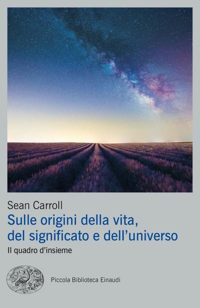 Sulle origini della vita, del significato e dell’universo. Il quadro d’insieme