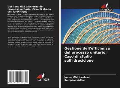 Gestione dell’efficienza del processo unitario: Caso di studio sull’idrociclone