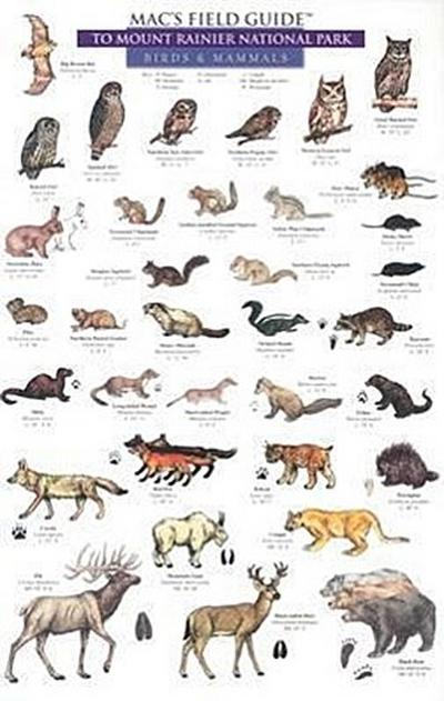 Mac’s Field Guides: Mount Rainier National Park Mammals & Birds