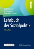 Lehrbuch der Sozialpolitik