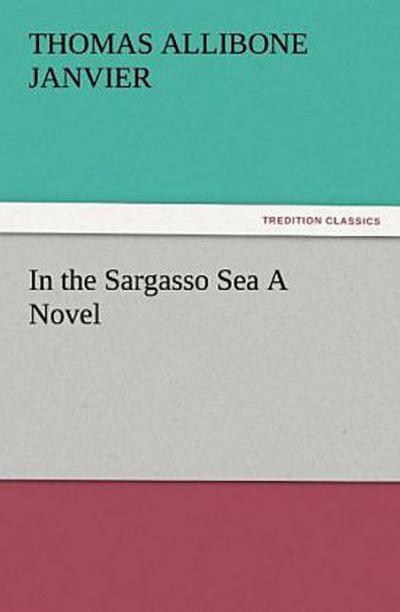 In the Sargasso Sea A Novel