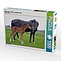 Mutterliebe - Fohlen und Mutterstute (Puzzle)