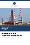 Pilotstudie zur Destillationskolonne