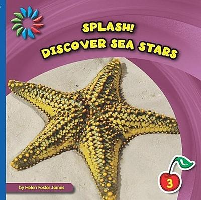 Discover Sea Stars
